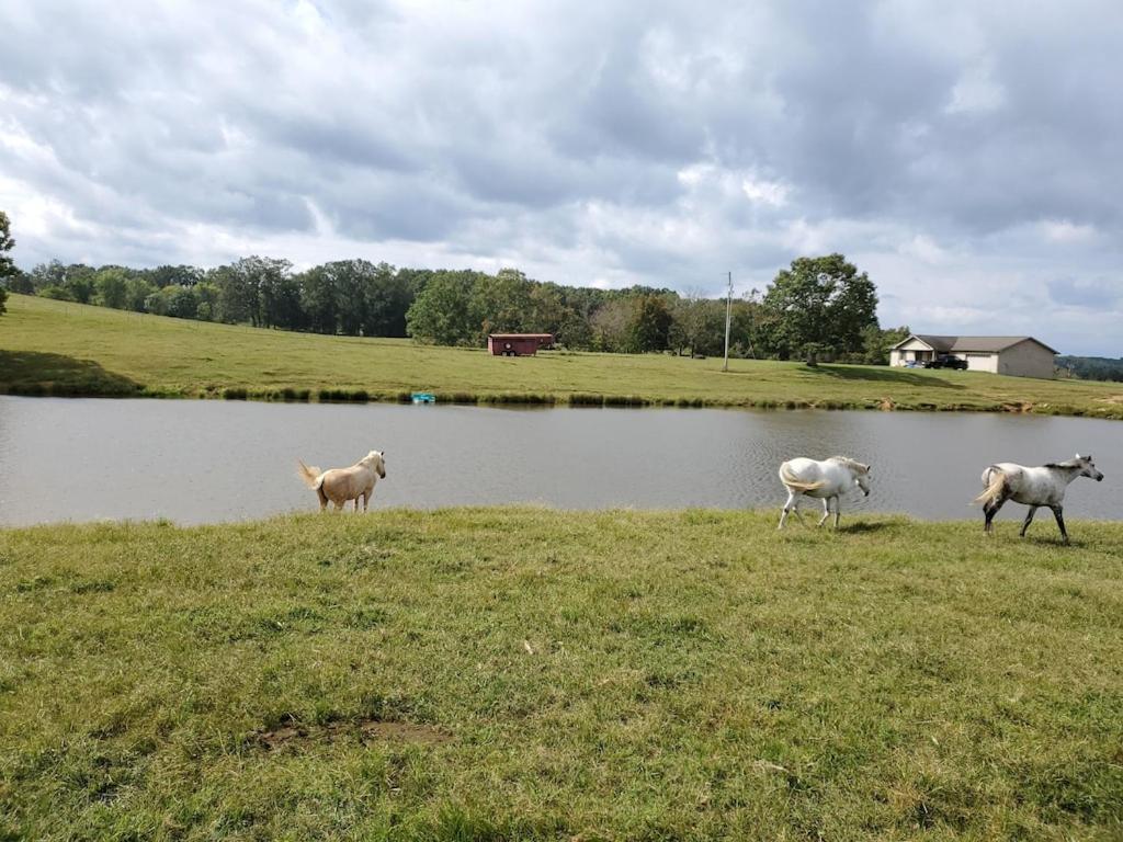 Secluded House On 60 Acres Close To Fall Creek Falls Pikeville Eksteriør bilde